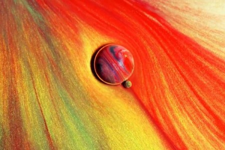 HƯỚNG DẪN CƠ BẢN VẼ TRANH SƠN DẦU CHO NGƯỜI MỚI HỌC